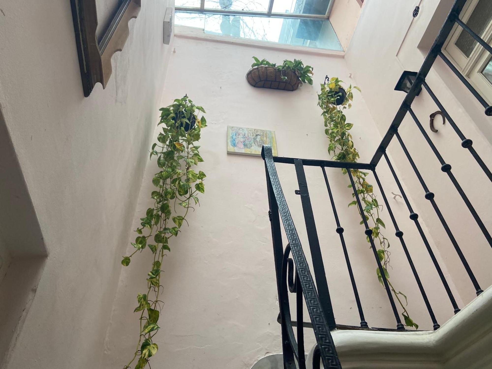 La Casona De Palermo Ex Hostel - Casa Entera Para 9 Personas - Buenos Aires — Photos 3